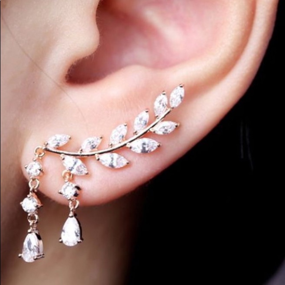 NWT Sparkling Angel Wing Earrings
